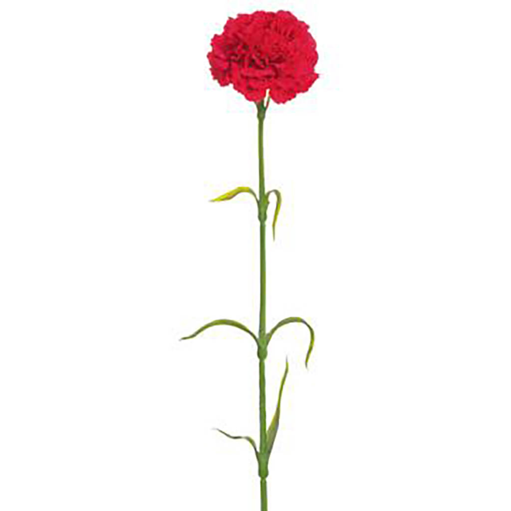 Carnation Spray Red, 17in