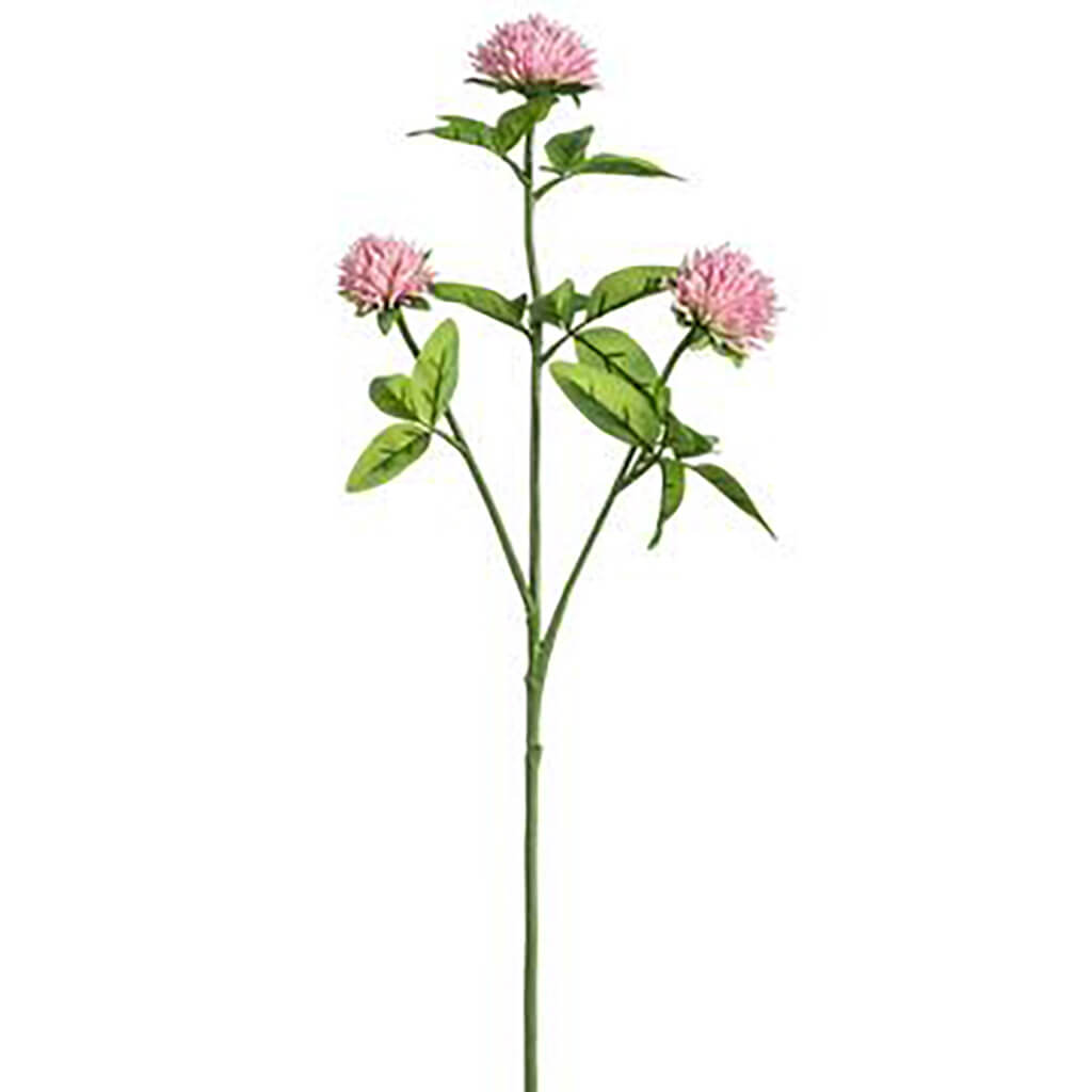 Clover Spray Pink, 21.5in