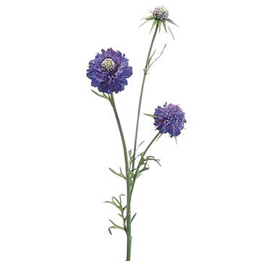 Scabiosa Spray Blue Violet, 28in