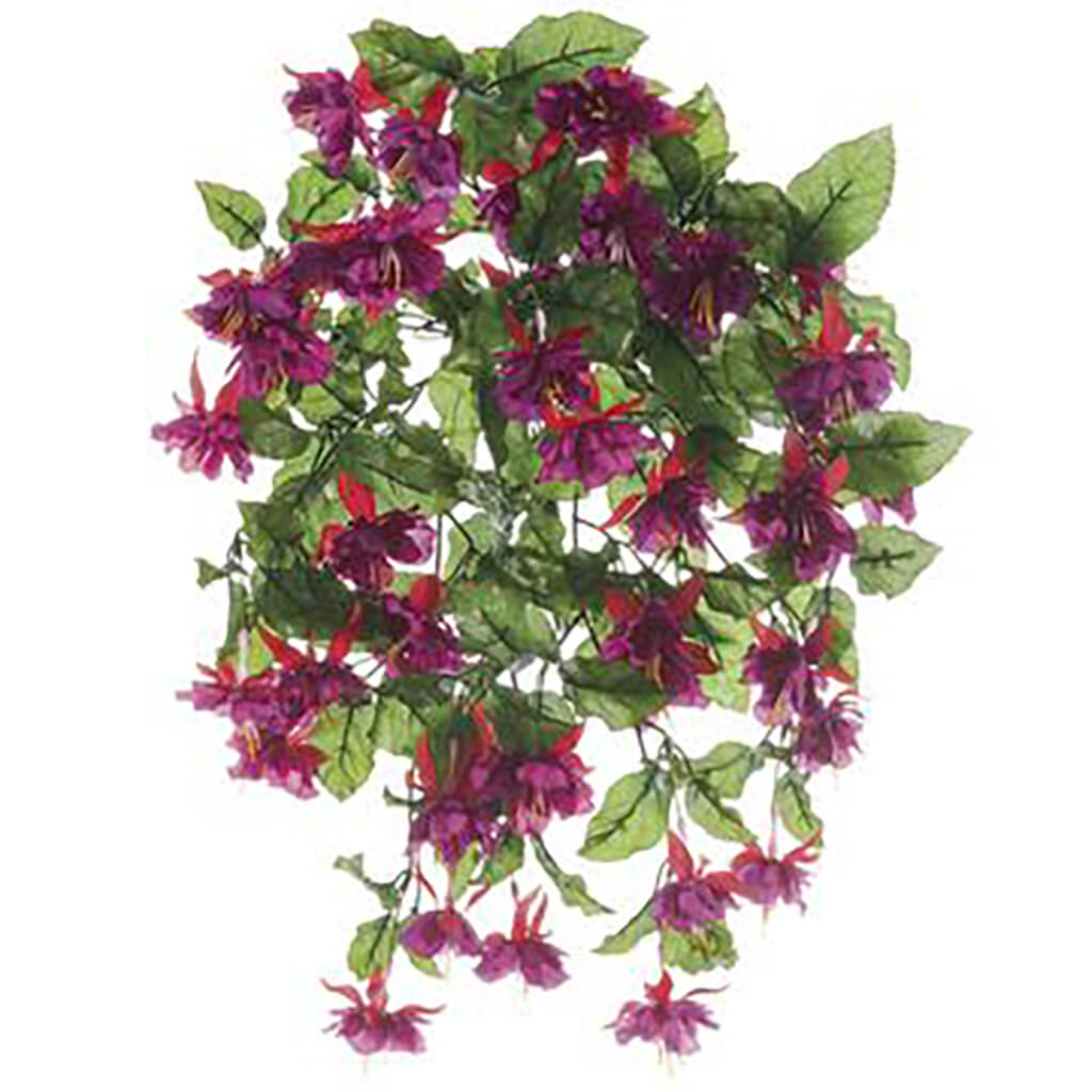 Fuchsia Hanging Bush x13 Violet Red, 20in