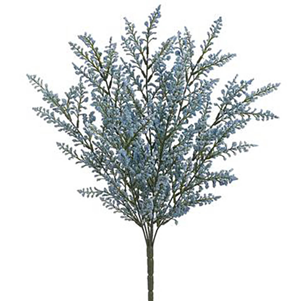 Astilbe Bush x9 Blue, 20in