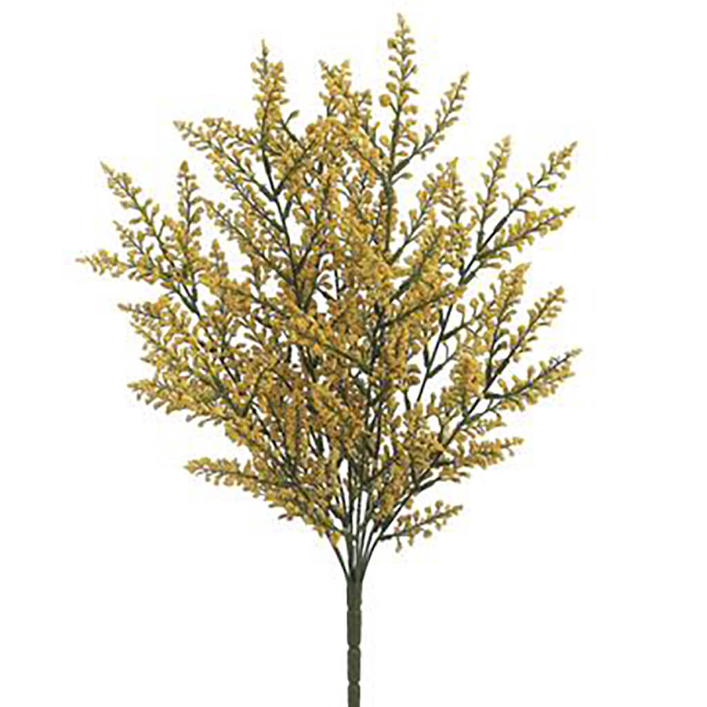 Astilbe Bush x9 Two Tone Yellow, 20in