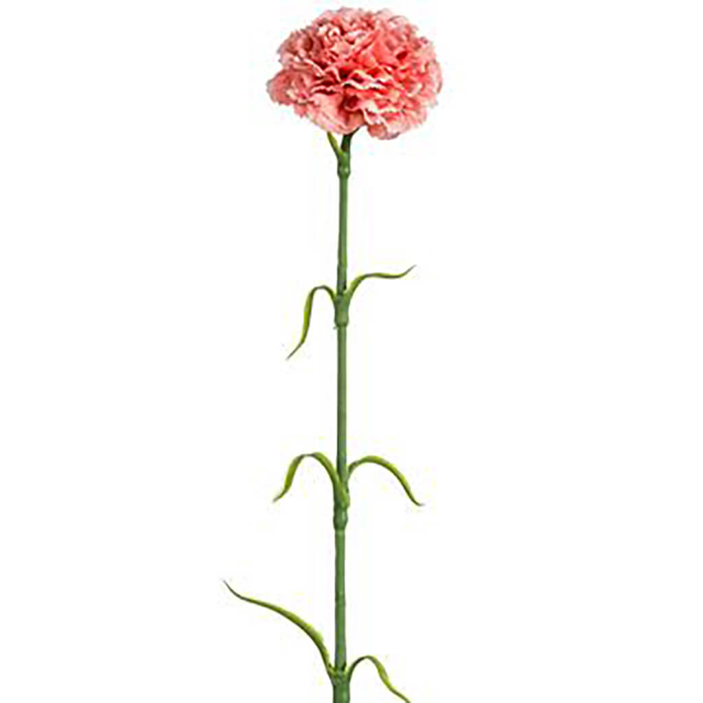 Carnation Spray Pink, 17in