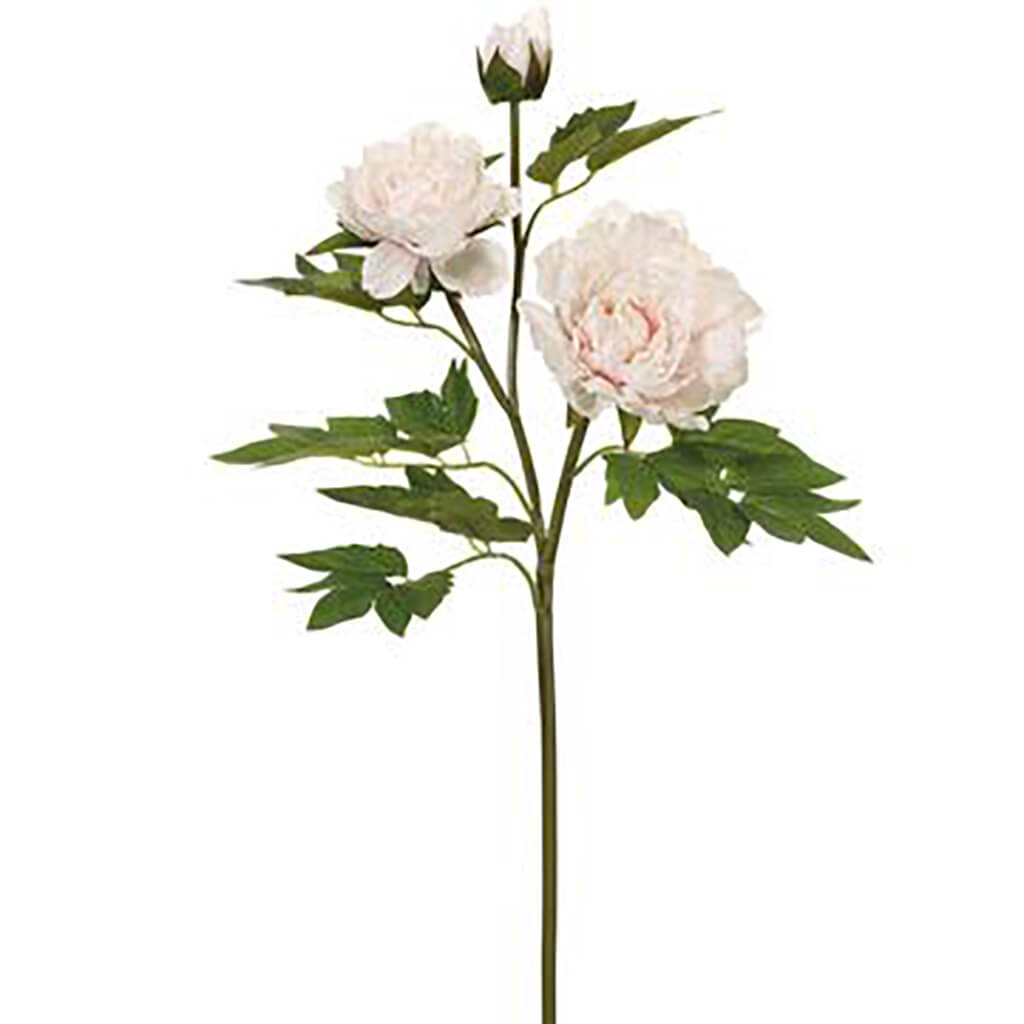 Peony Spray With 2 Flowers And 1 Bud Blush, 26.75in