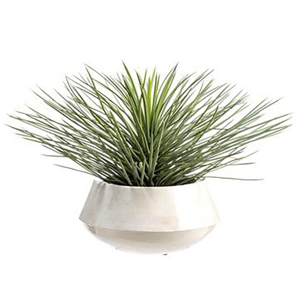 Whipple Yucca Plant in Iron Planter Green Flocked