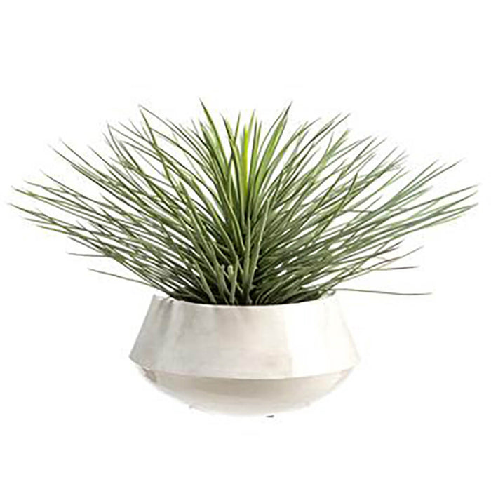 Whipple Yucca Plant in Iron Planter Green Flocked