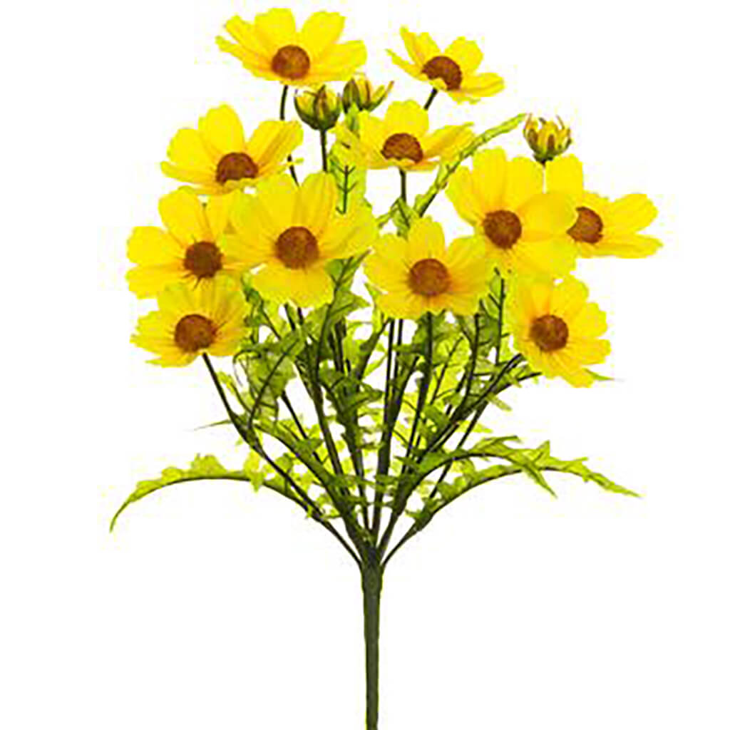 Cosmos Bush x14 Yellow, 18in