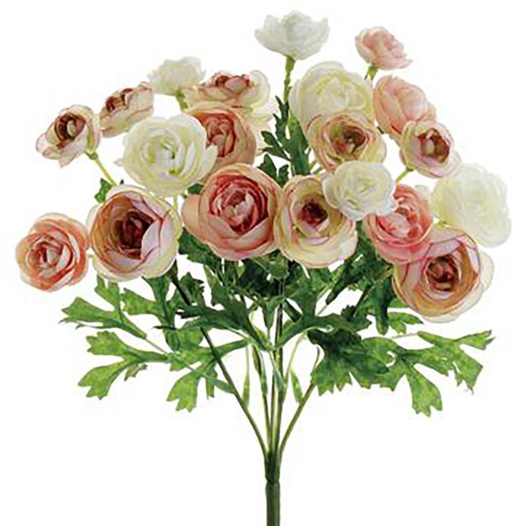 Mini Ranunculus Bush Pink Ivory, 10.5in