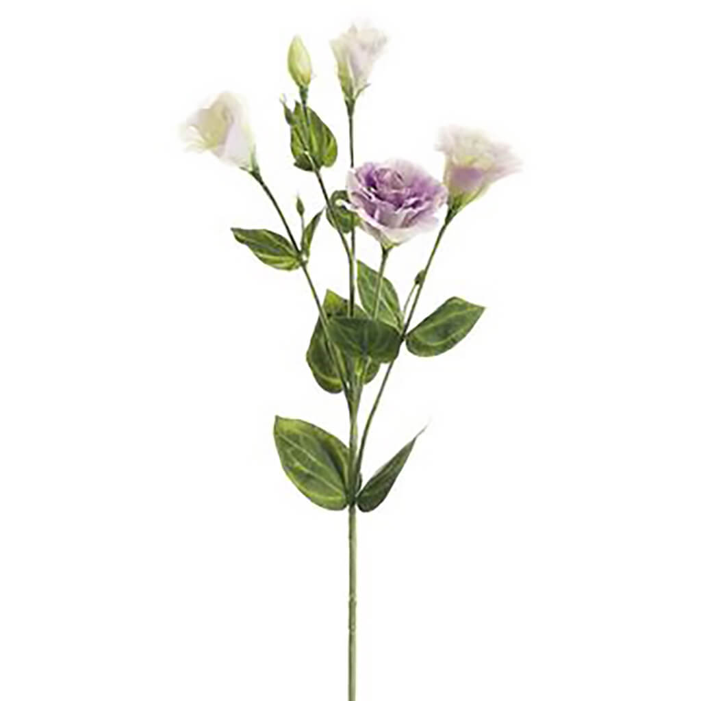 Lisianthus Spray Two Tone Lavender, 30in