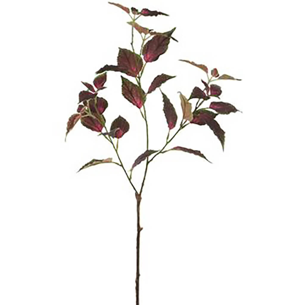 Coleus Spray Purple Green, 31in