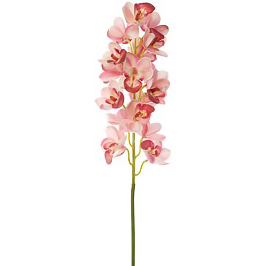 Cymbidium Orchid Spray Pink, 30in