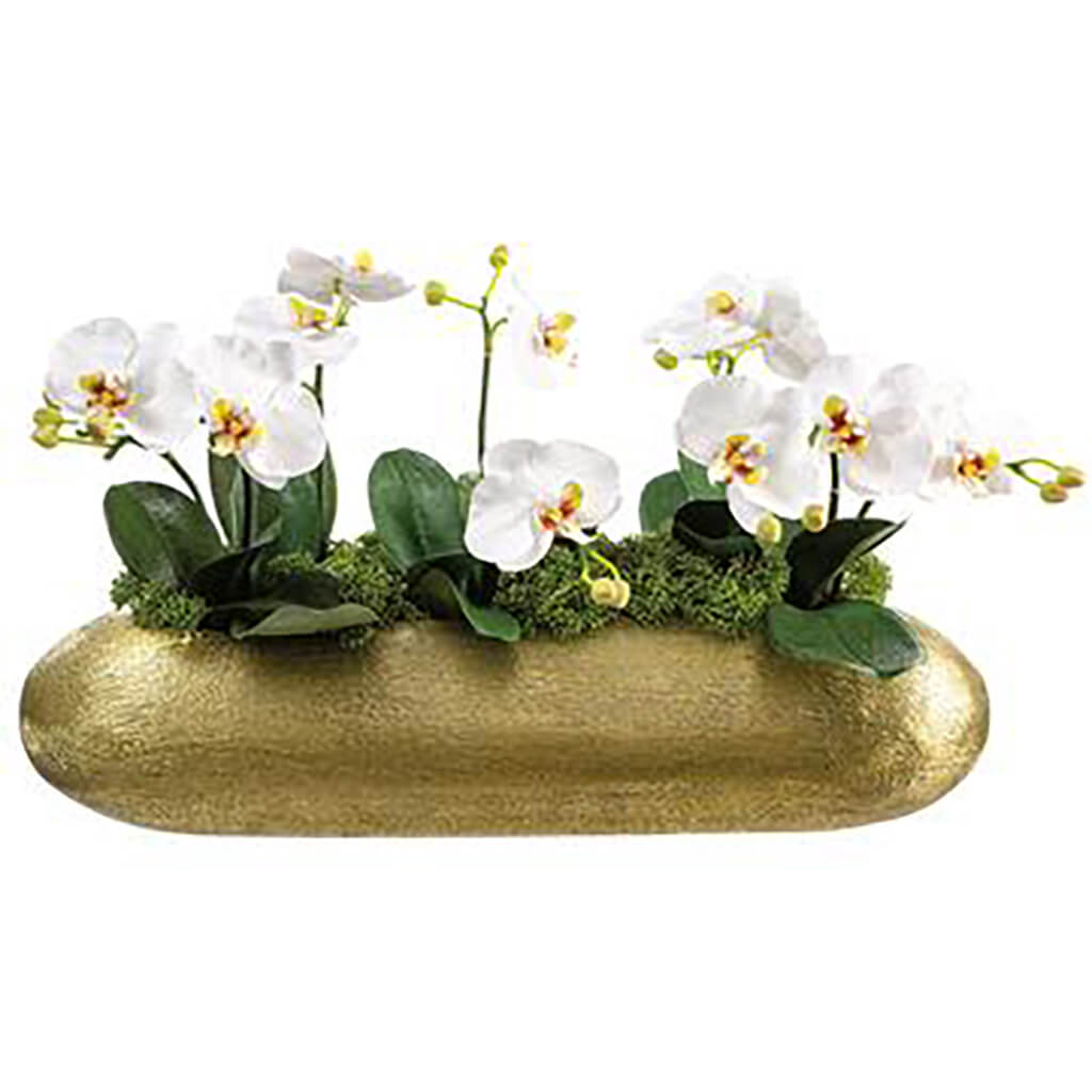 Phalaenopsis in Long Aluminium Vase White Green