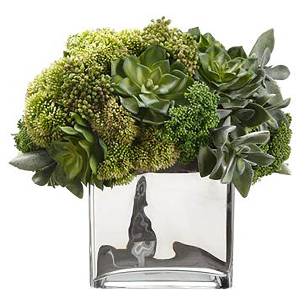 Succulent/Sedum in Vase Green, 13in H x 13.5in W x 14in L