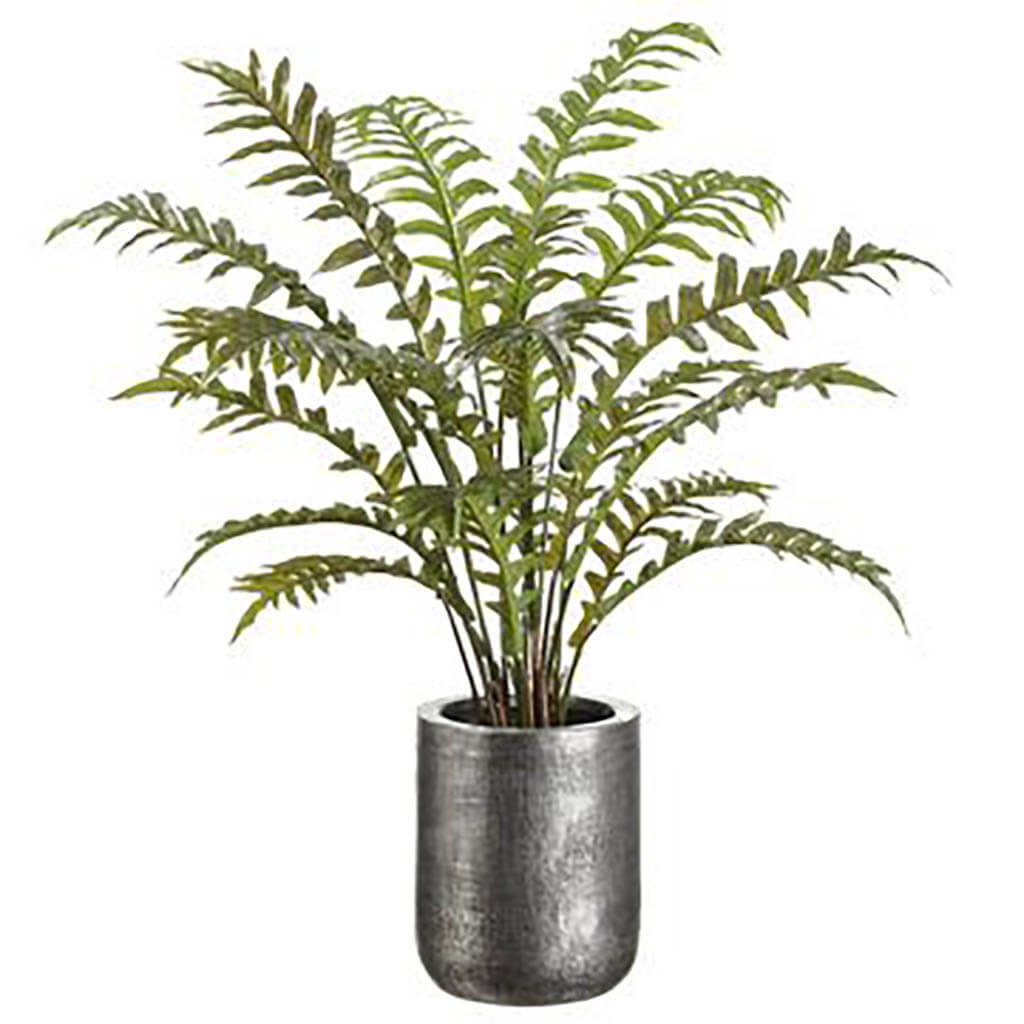 Fern In Textured Antique Zinc Planter Green