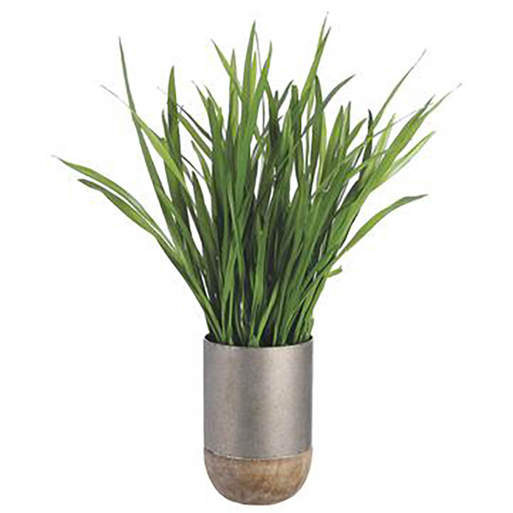 Cymbidium Orchid Foliage in Iron/Wood Planter Green