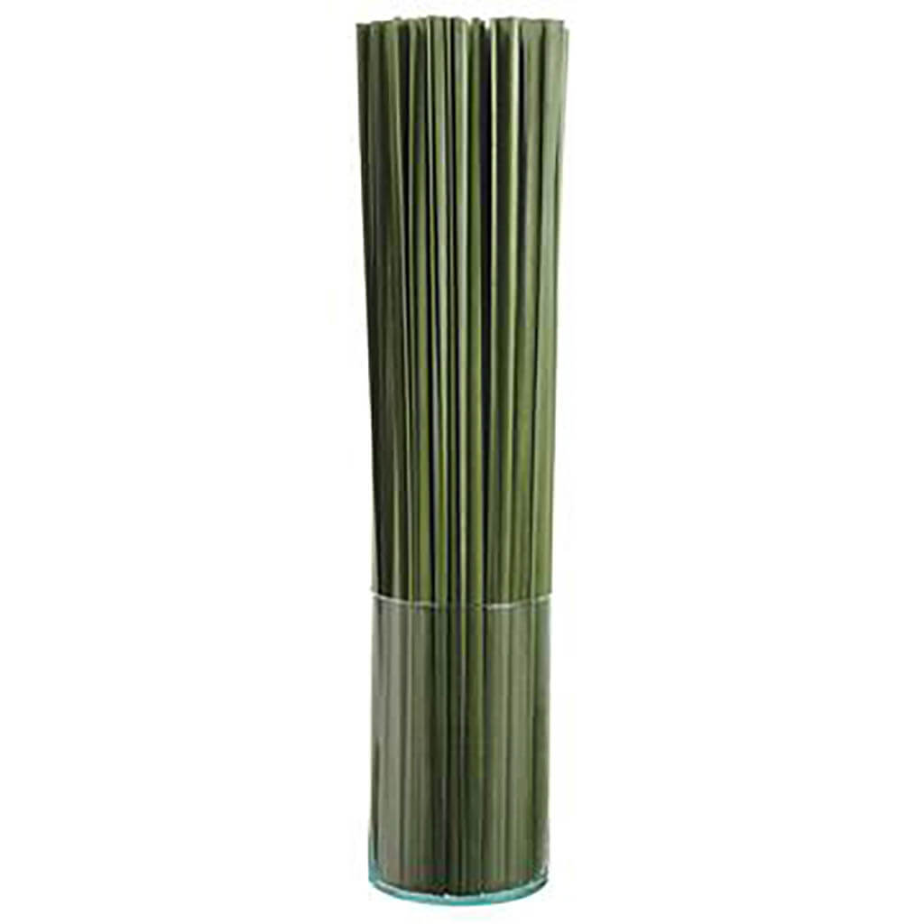 Tall Grass in Glass Vase Green, 37in H x 8in W x 8in L