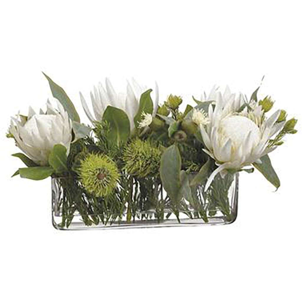 Protea/Eucalyptus/Wolly in Vase Cream