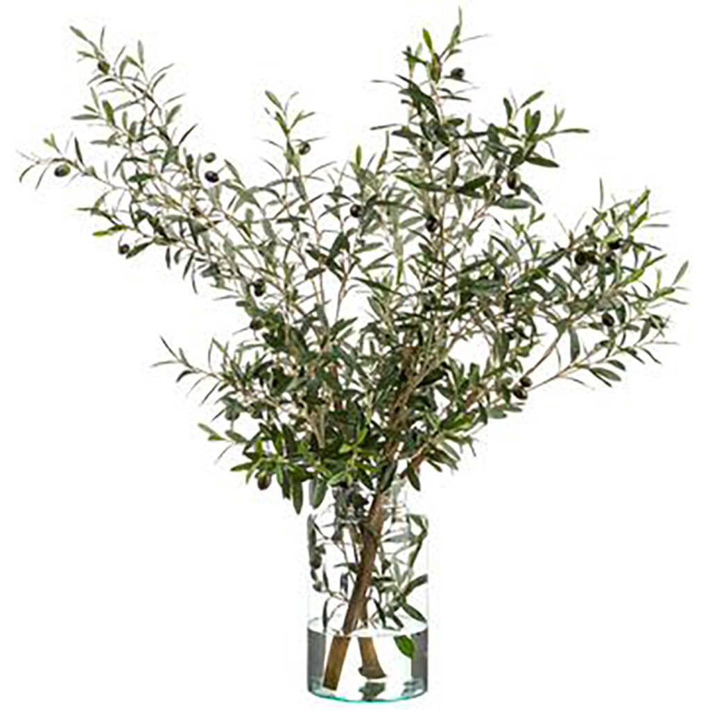 Olive Tree Branches in Glass Vase, 49in H x 37in W x 35in L