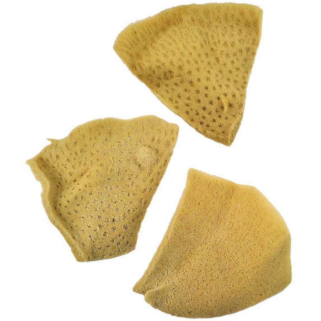 Elephant Ear Sponge 3pcs