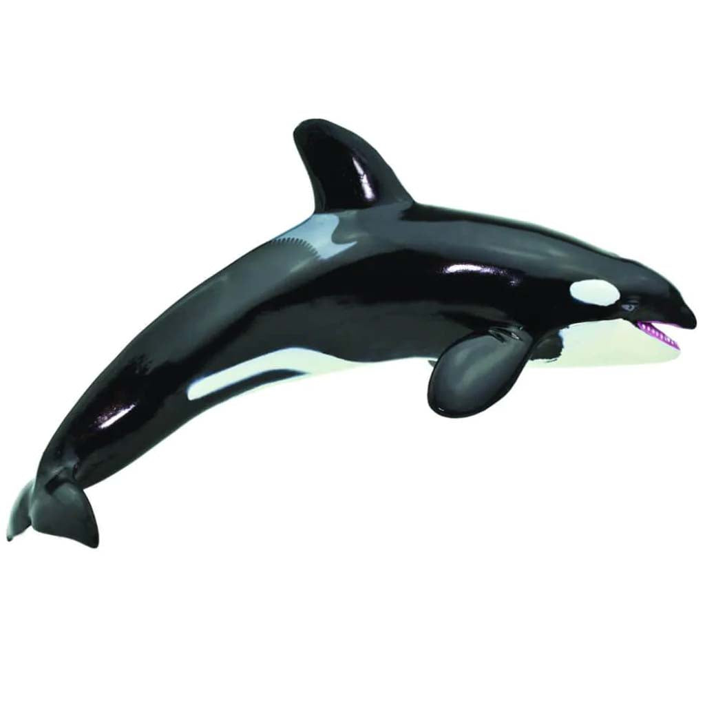 Killer Whale 