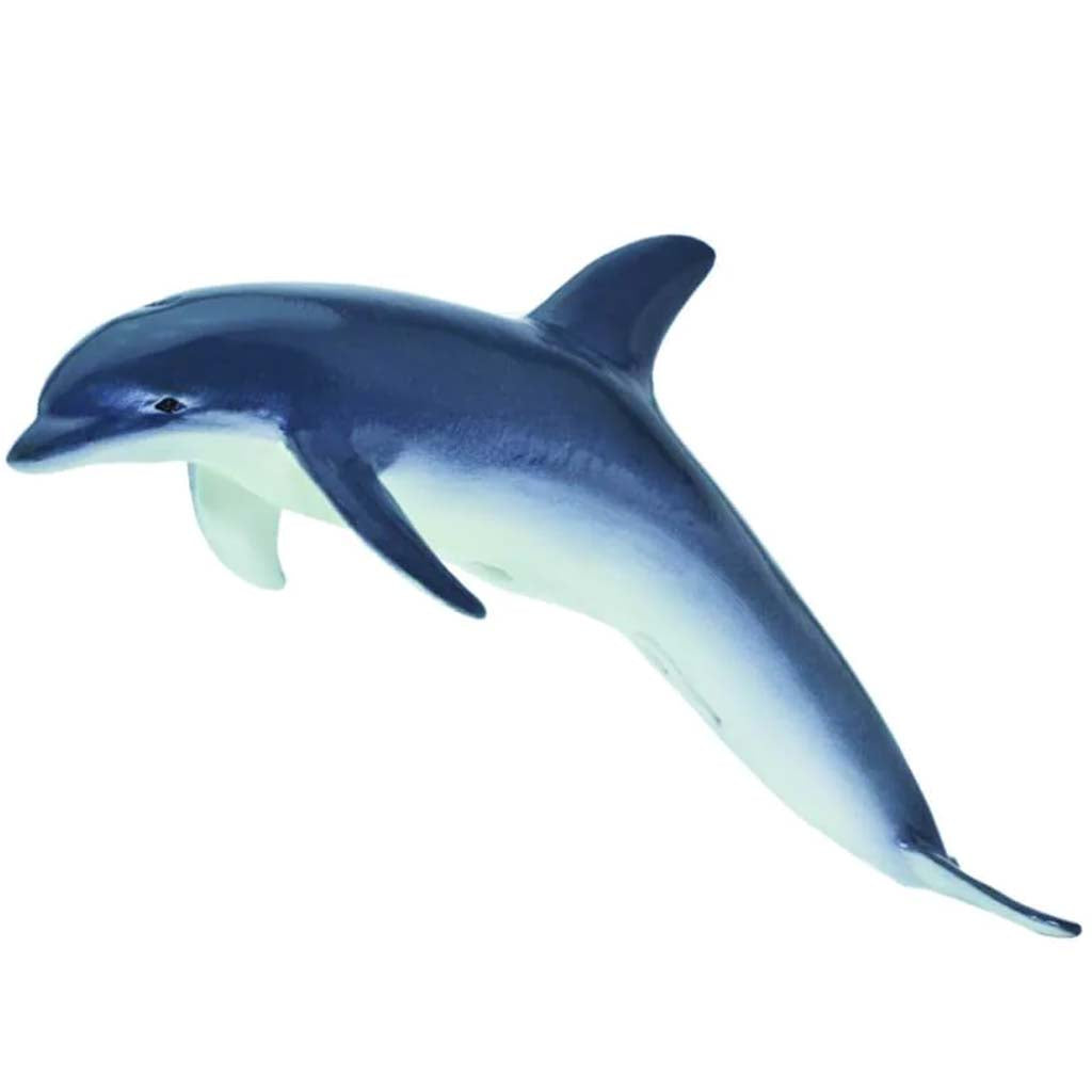 Bottlenose Dolphin 