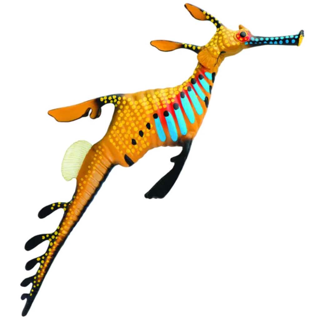 Weedy Seadragon 