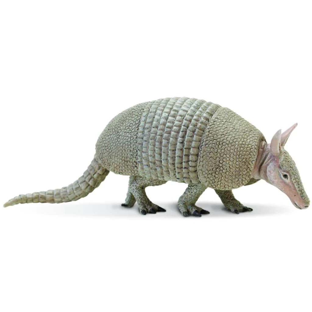 Armadillo 