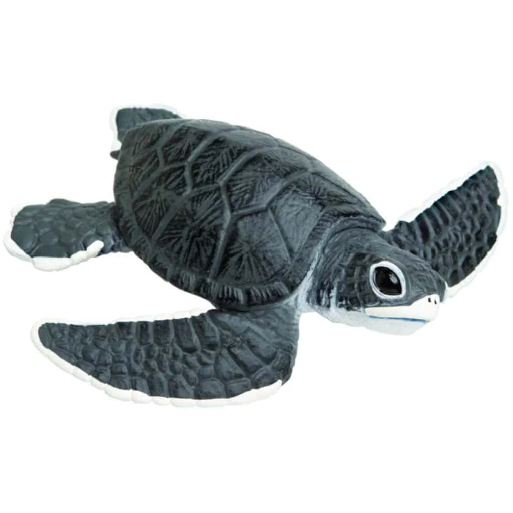 Sea Turtle Baby 