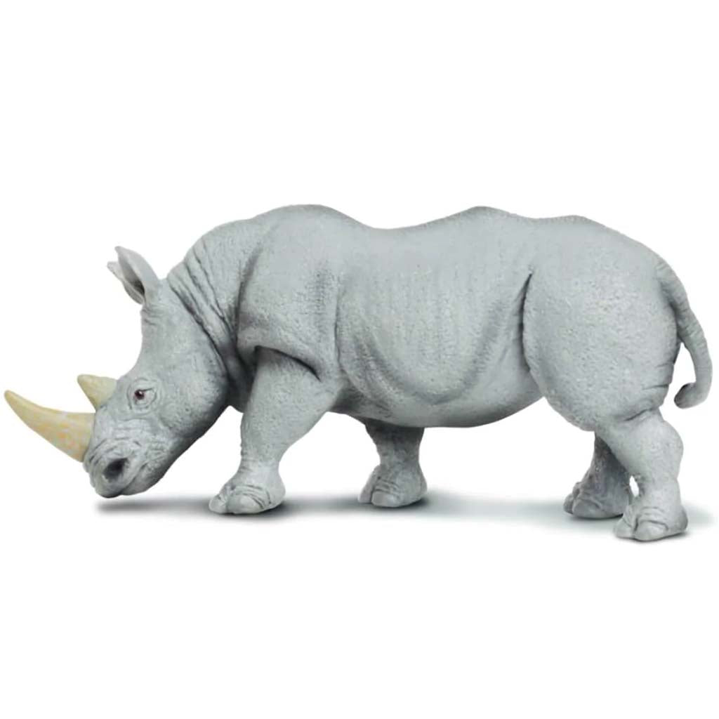 White Rhino 