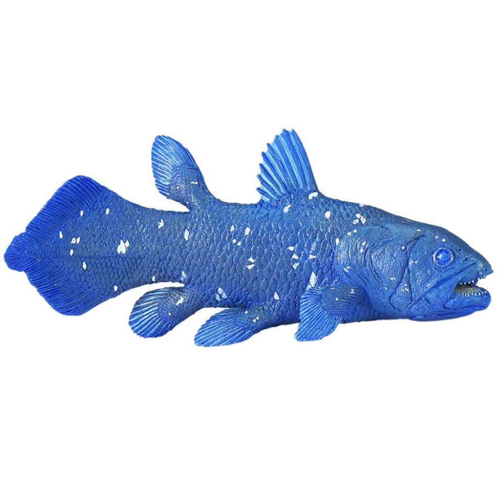 Coelacanth 