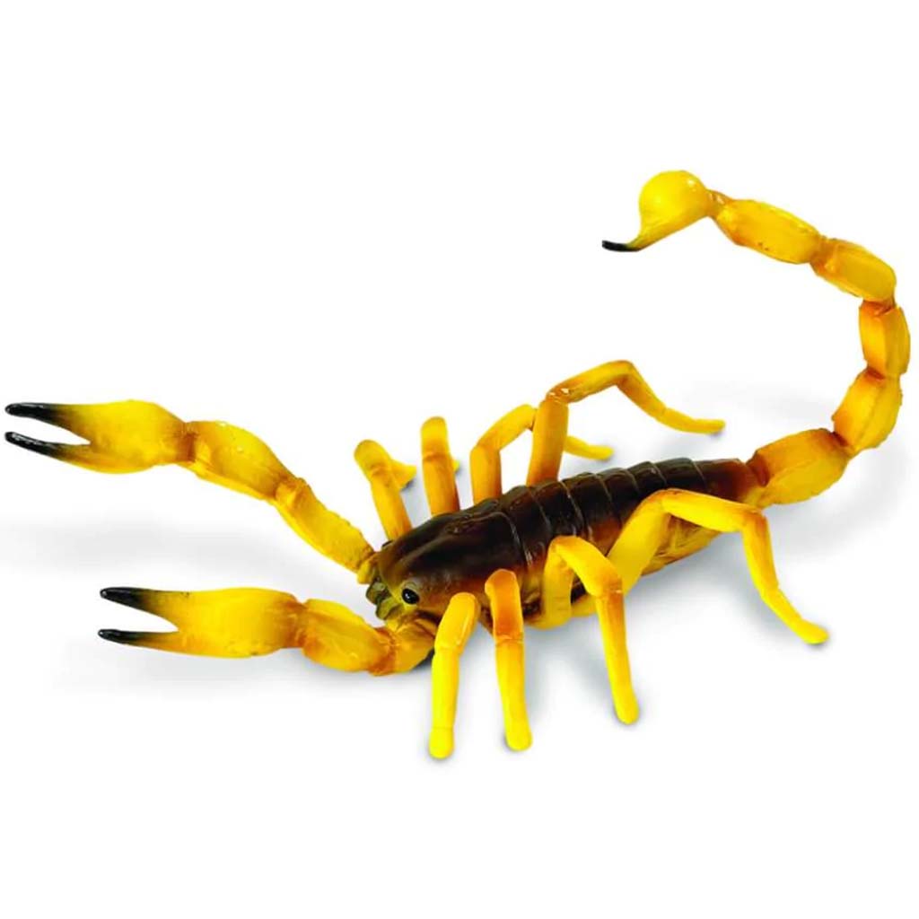 Scorpion 