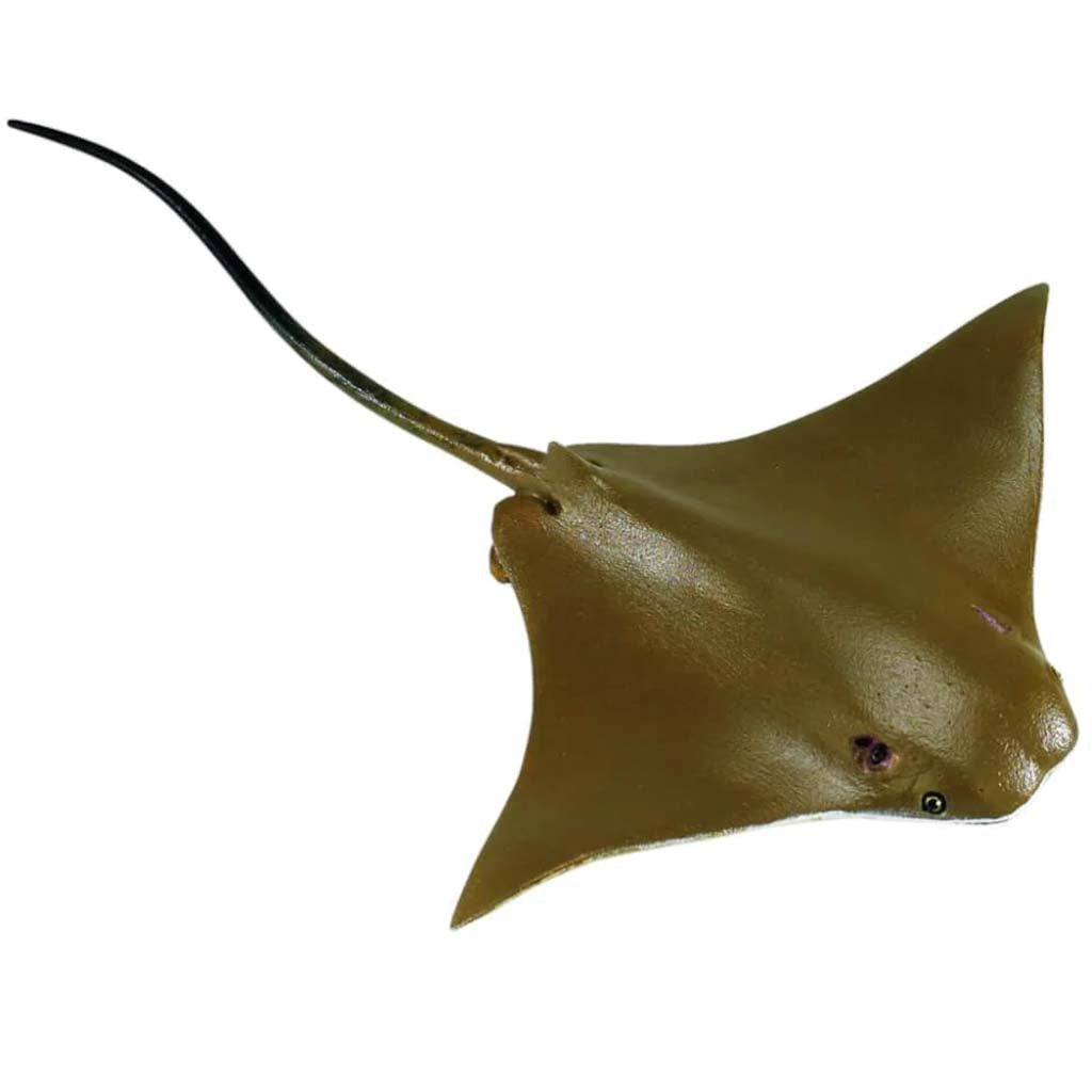 Cownose Ray 