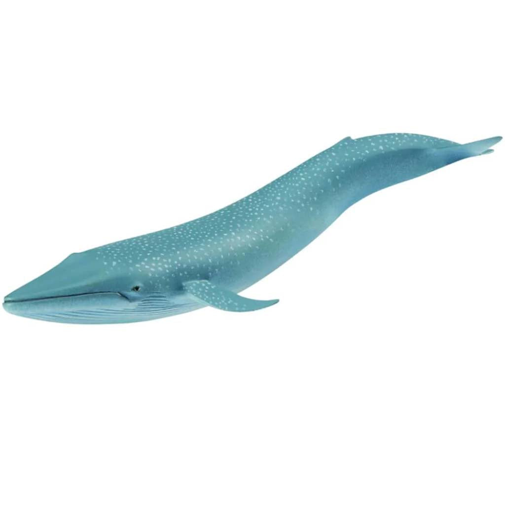 Blue Whale 