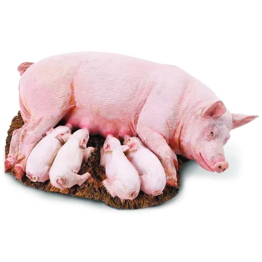 Sow With Piglets 