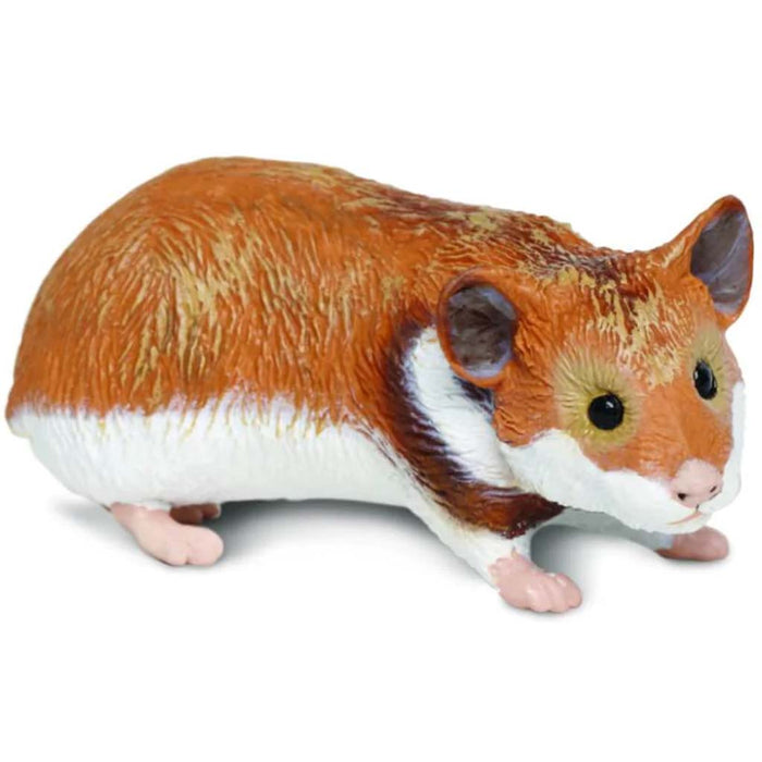 Hamster 
