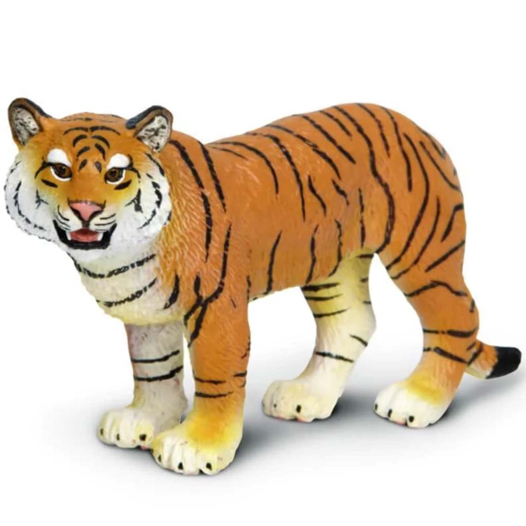 Bengal Tigress 