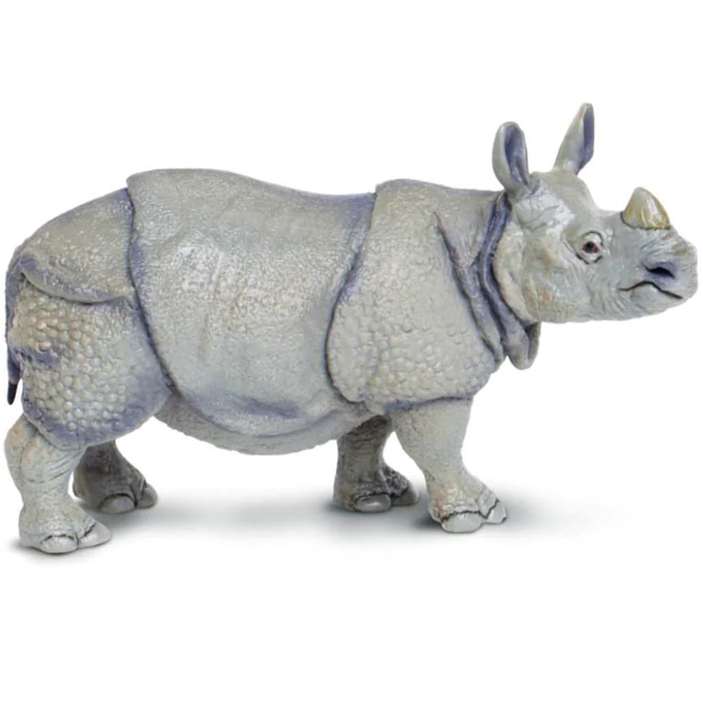 Indian Rhino 