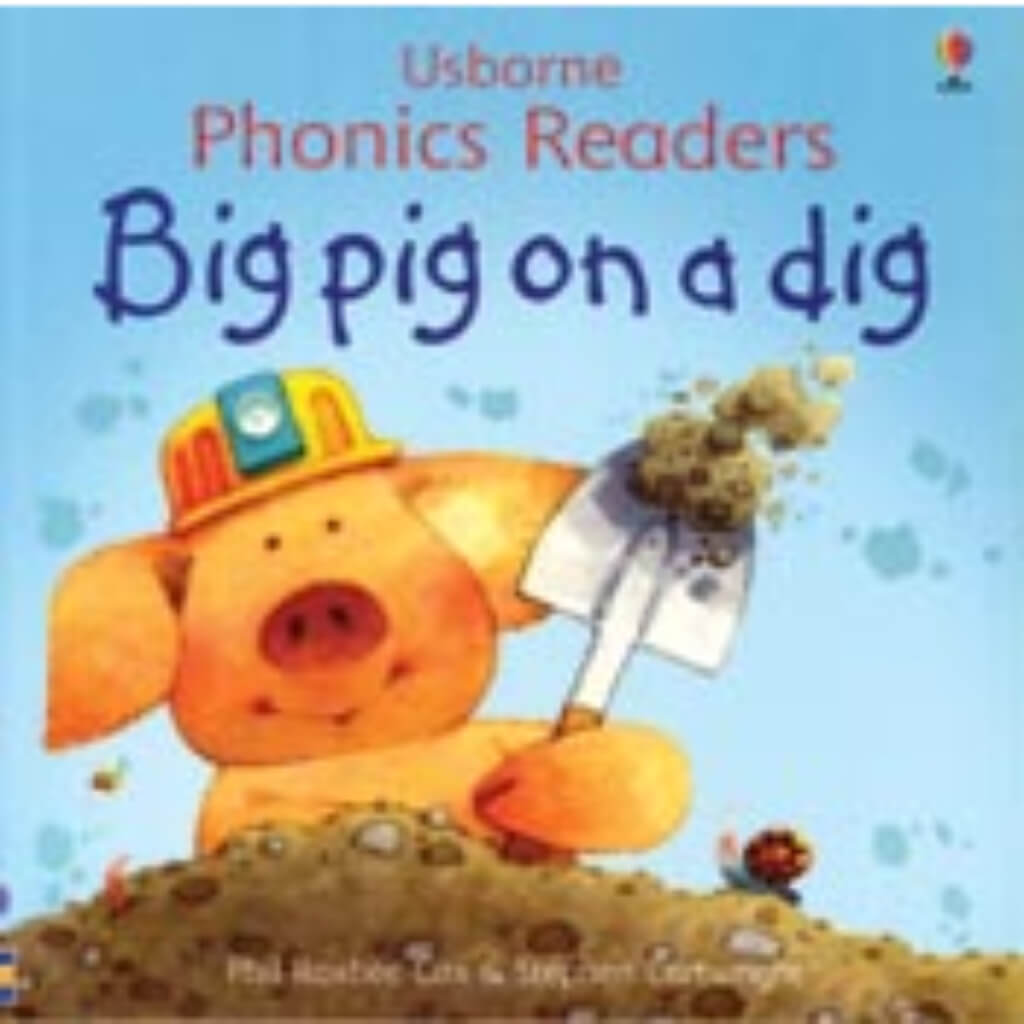 Book Big Pig On A Dig