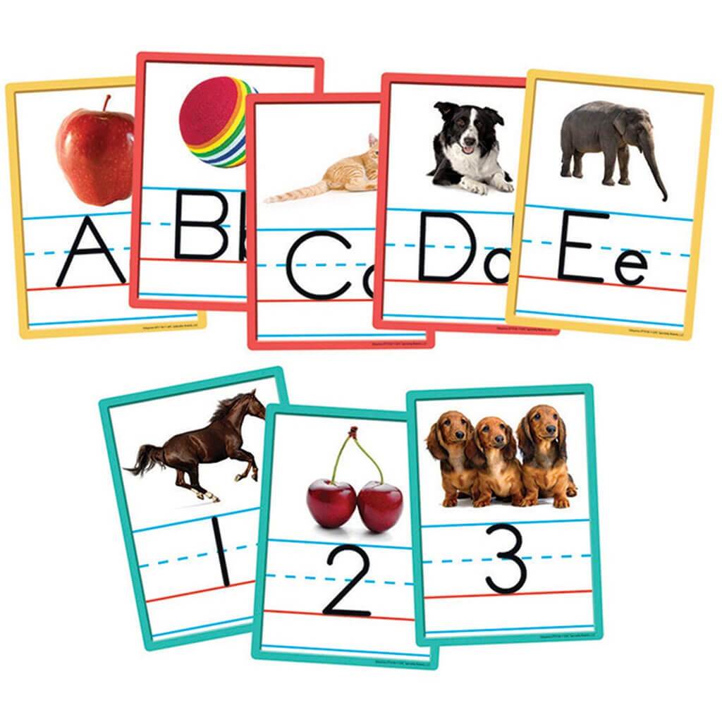 Alphabet and Numbers Bulletin Accents