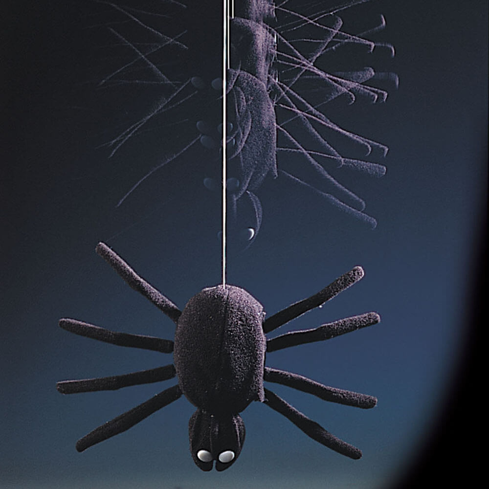 Dropping Dan Crazy Spider 