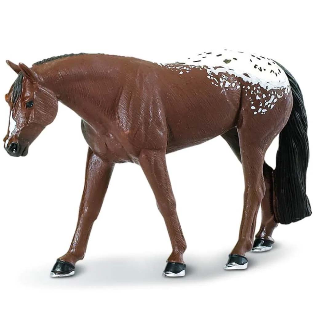 Appaloosa Mare 