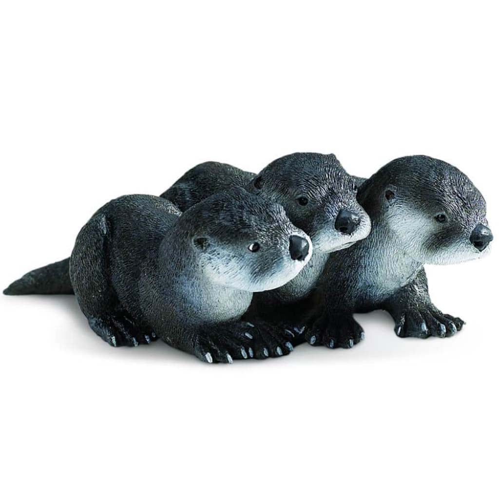 North American River Otter Babies 