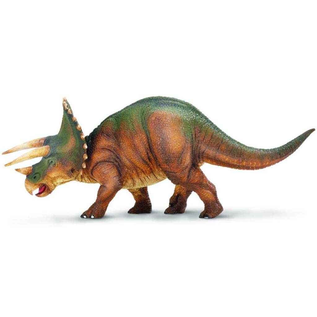 Triceratops 