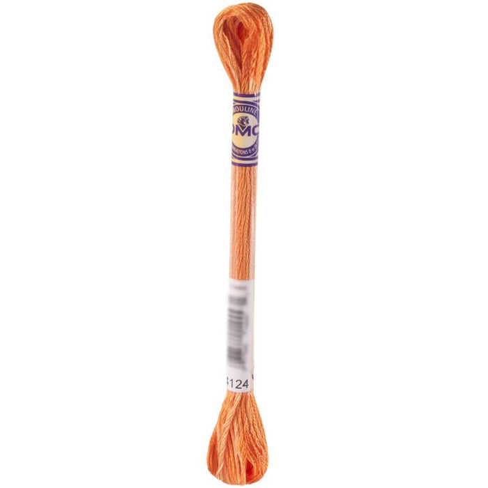 Dmc Color Variations 6 Strand Bonfire 8.7Yd 
