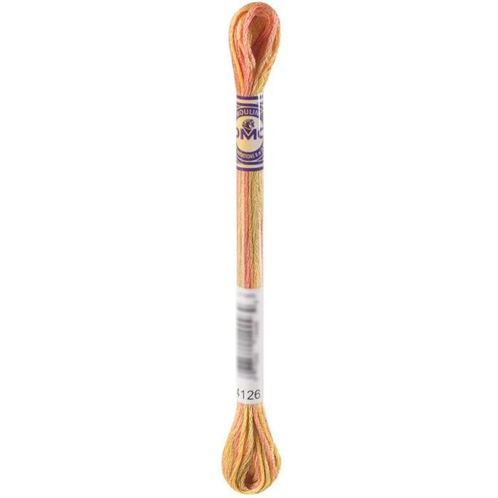 Dmc Color Variations 6 Strand Desert Canyon 8.7Yd 