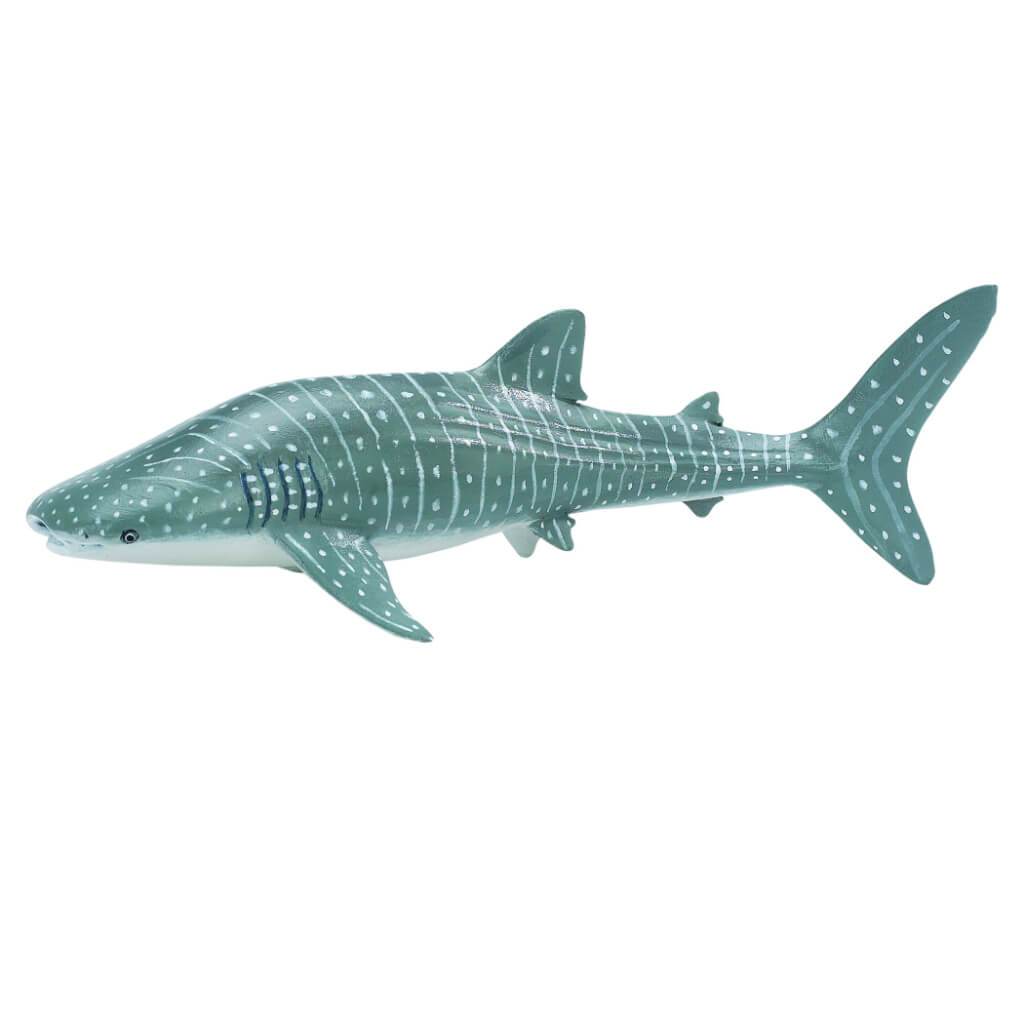 Whale Shark 