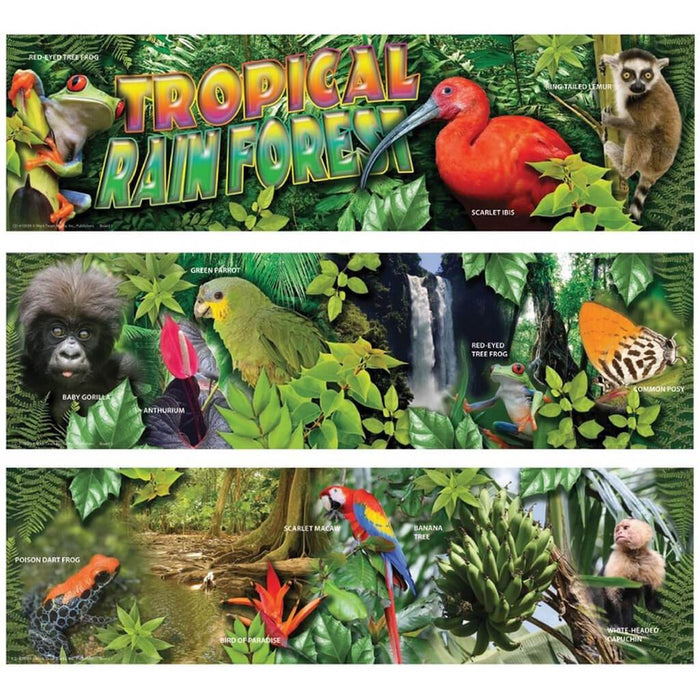Tropical Rain Forest Mini Bull