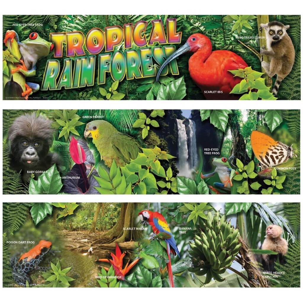 Tropical Rain Forest Mini Bull