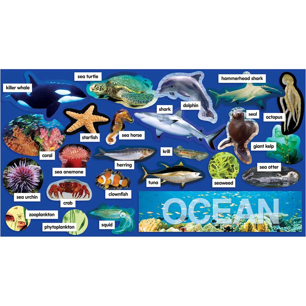 Ocean Plants &amp; Animals Mini Bulletin Board Set