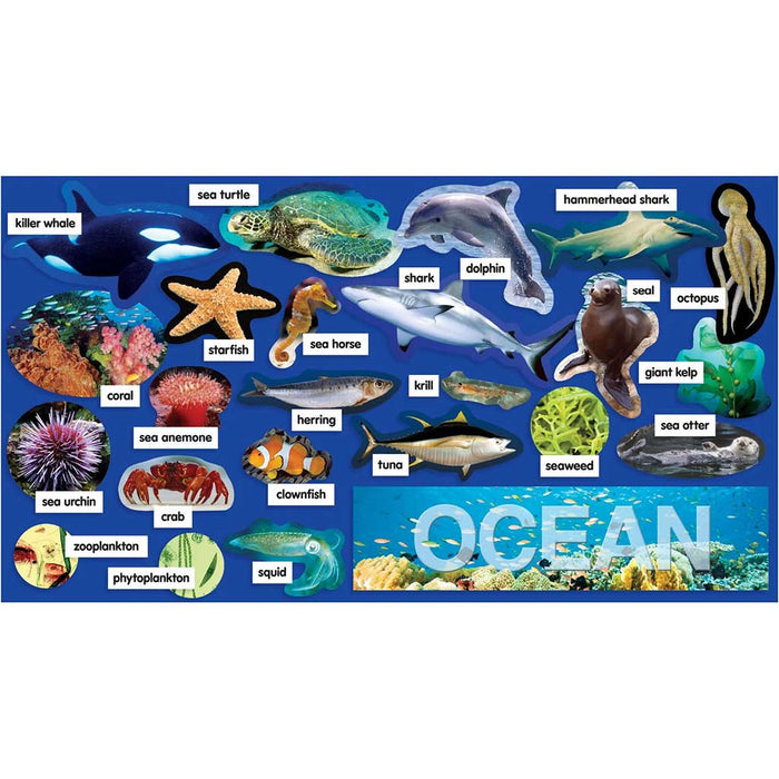 Ocean Plants & Animals Mini Bulletin Board Set